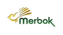 Merbok